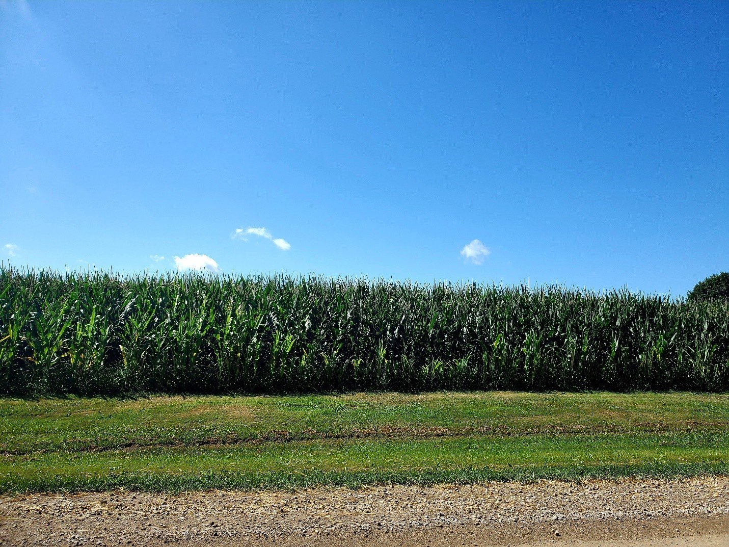 Keeping the Farming Community Safe during COVID